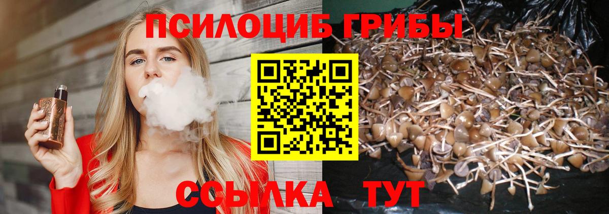 Галлюциногенные грибы Psilocybe Хабаровск